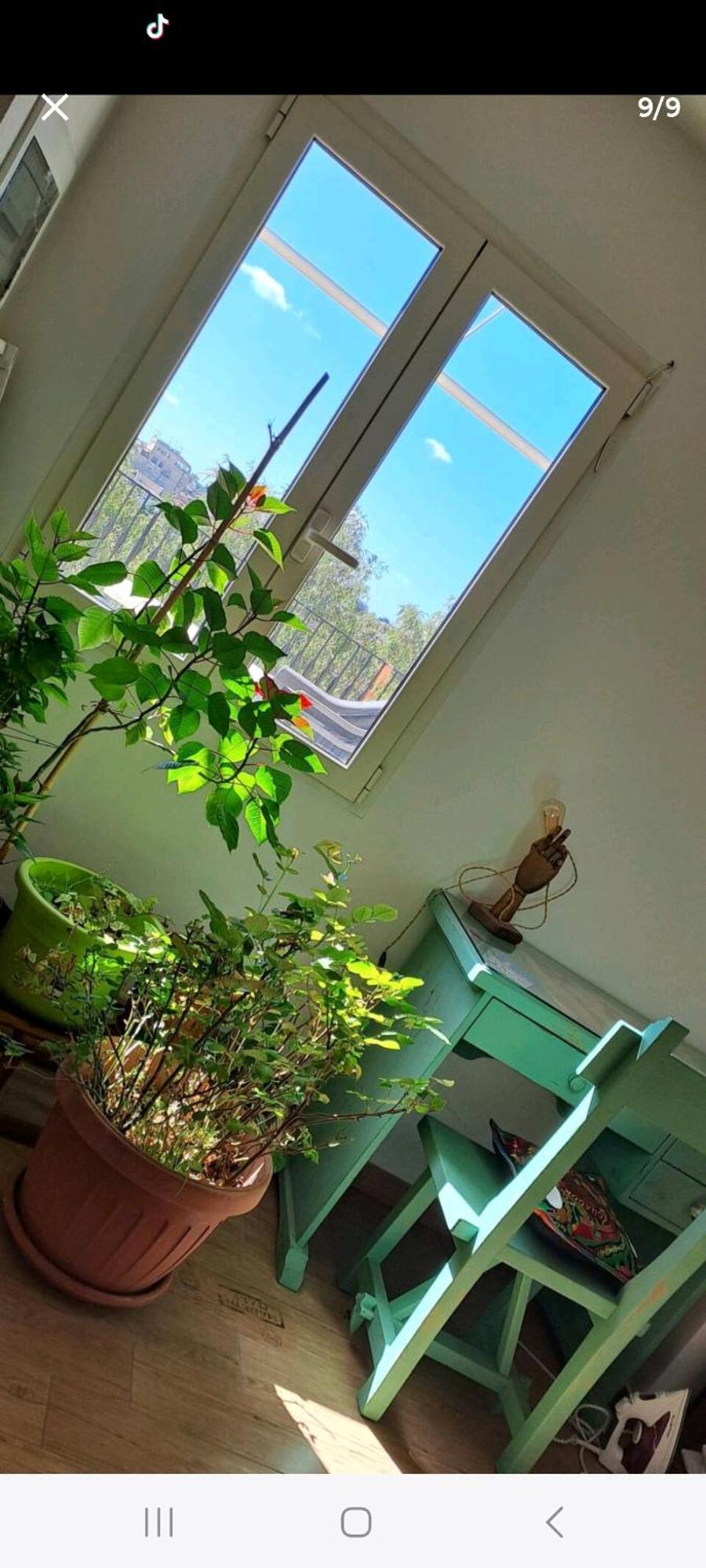Privatunterkunft Stanza In Superattico, Terrazzato, Luminoso, Accogliente, Bagno Privato *